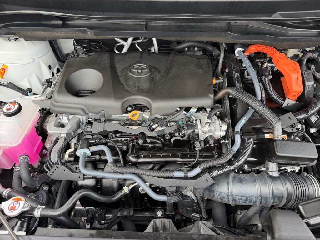 2025 Toyota Sienna XLE 7 Passenger