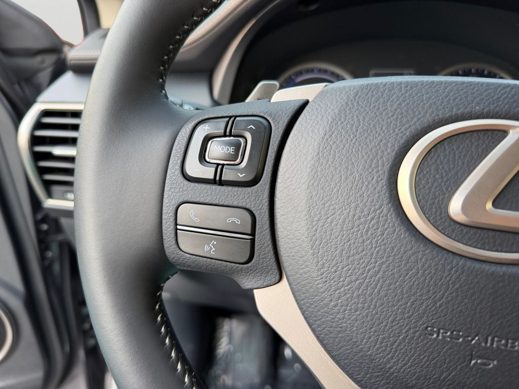 2019 Lexus NX 300h 300h