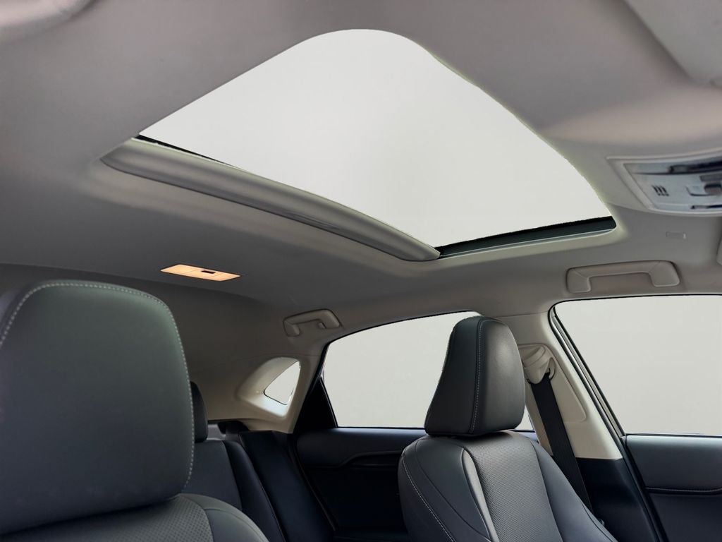 2019 Lexus NX 300h 300h