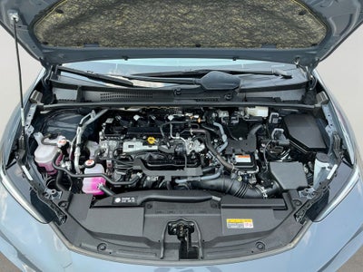 2024 Toyota Prius XLE