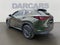 2024 Lexus NX 350 Base 350 Base