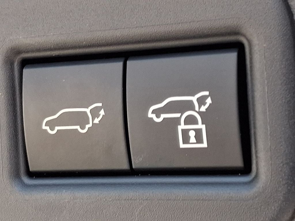 2023 Lexus RX 350 Premium 350 Premium COLD AREA PACKAGE