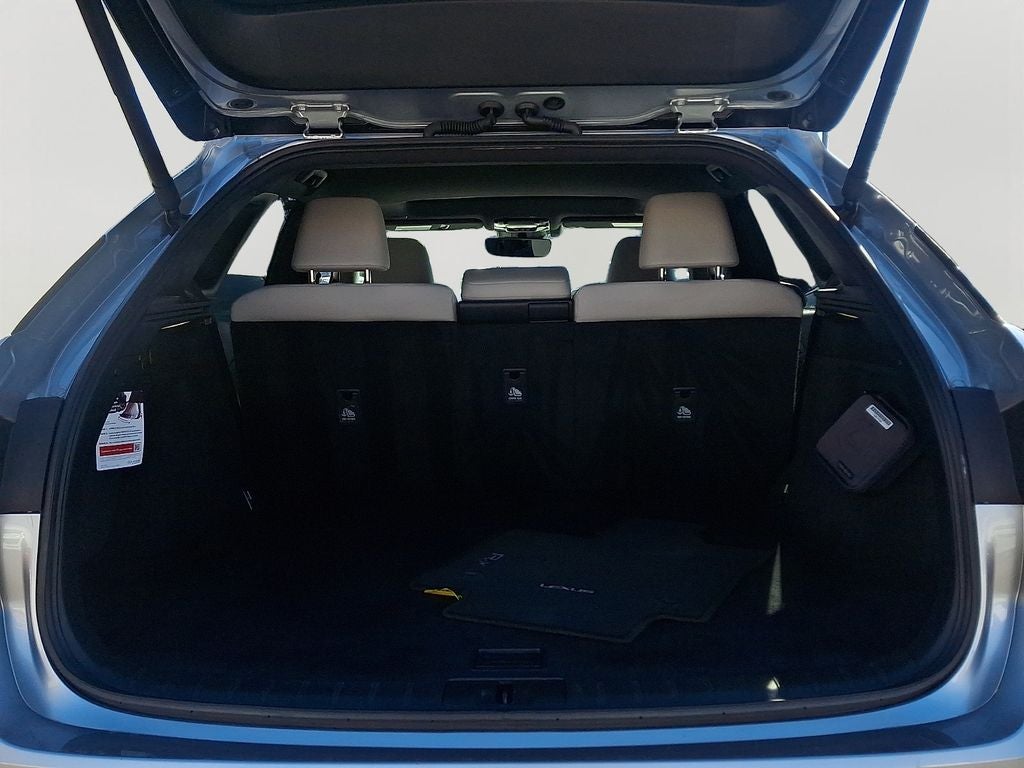 2023 Lexus RX 350 Premium 350 Premium COLD AREA PACKAGE