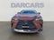 2025 Lexus NX 350 Premium PREMIUM