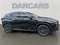 2024 Lexus NX 350 Premium 350 Premium