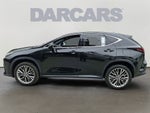 2023 Lexus NX 350 Luxury 350 Luxury