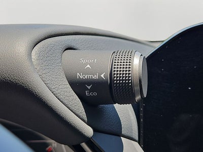2023 Lexus ES 250 250 PREMIUM PACKAGE