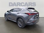 2024 Lexus NX 350 Base 350 Base w/ Cold Area Package