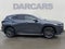 2024 Lexus NX 350 Base 350 Base w/ Cold Area Package
