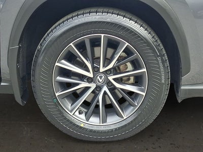 2024 Lexus NX 350 Base 350 Base w/ Cold Area Package