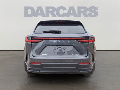 2024 Lexus NX 350 Base 350 Base w/ Cold Area Package