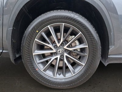 2024 Lexus NX 350 Base 350 Base w/ Cold Area Package