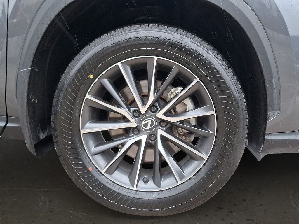 2024 Lexus NX 350 Base 350 Base w/ Cold Area Package