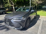 2024 Lexus NX 350 Premium 350 Premium w/ Lexus Interface with 14-in Touchscreen Display