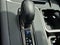 2024 Lexus TX 350 350 w/ Cold Area Package