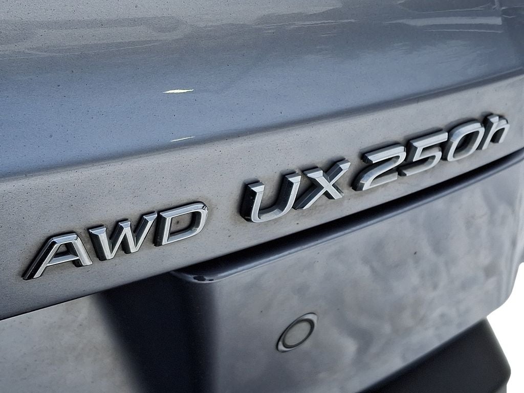 2024 Lexus UX 250h Premium 250h Premium