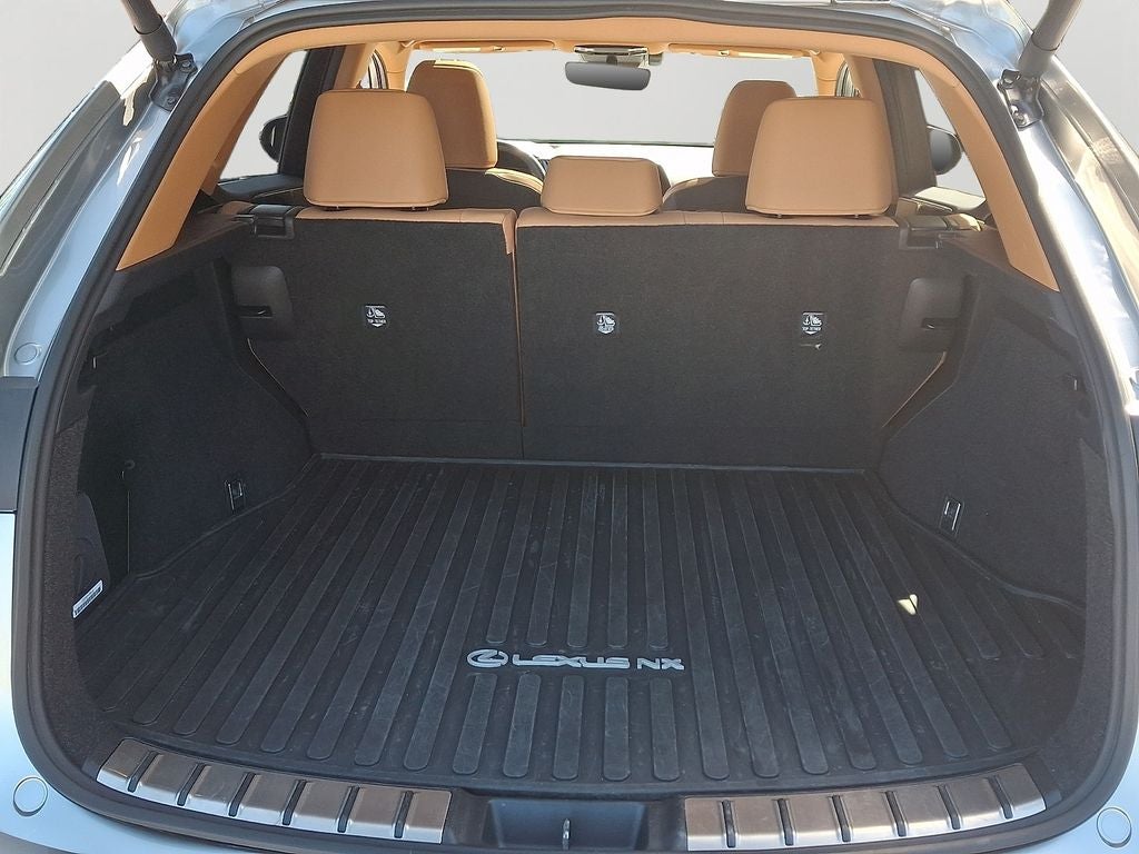 2024 Lexus NX 350 Base 350 Base w/ Cold Area Package
