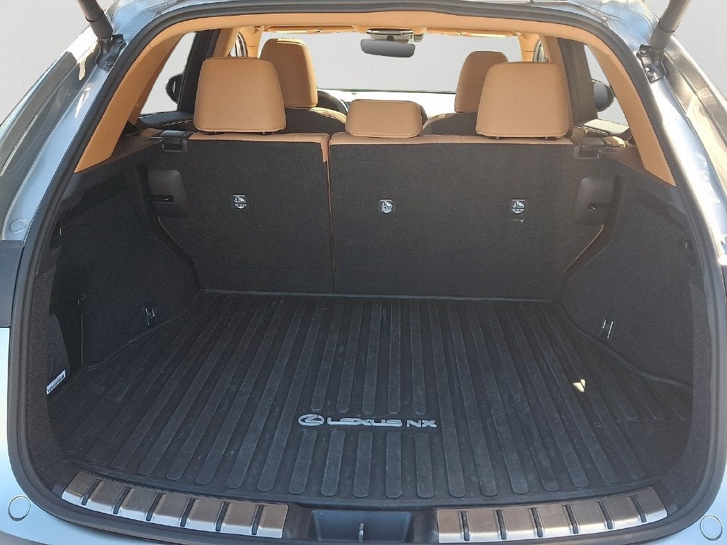 2024 Lexus NX 350 Base 350 Base w/ Cold Area Package