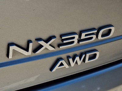 2024 Lexus NX 350 Base 350 Base w/ Cold Area Package