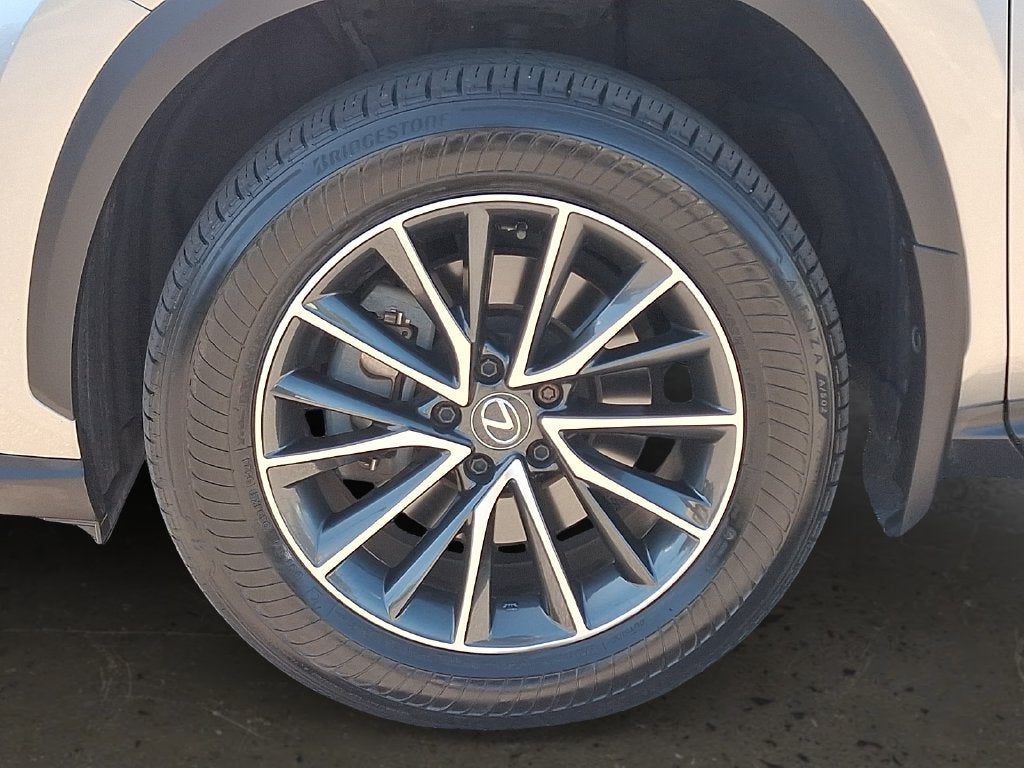 2024 Lexus NX 350 Base 350 Base w/ Cold Area Package