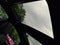 2025 Lexus NX 450h+ F SPORT 450h+ F SPORT w/ Panorama Glass Roof & View Monitor