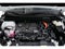 2026 Toyota Sienna Limited 7 Passenger