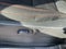 2023 Nissan Frontier PRO-4X with Low Miles