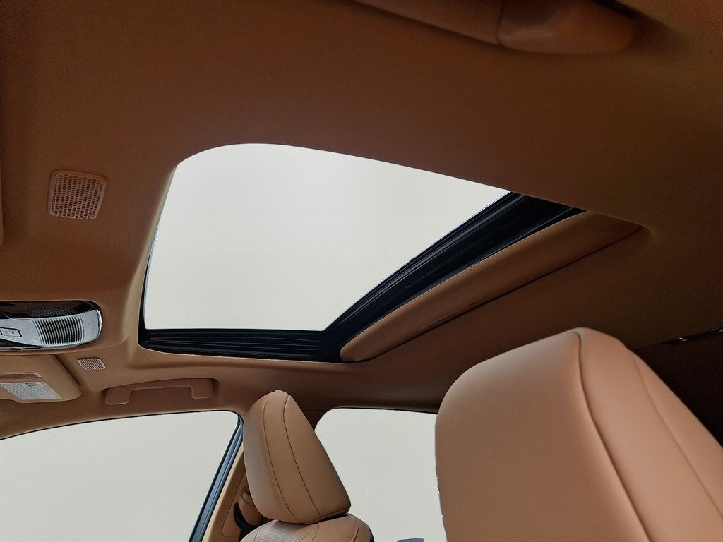 2023 Lexus NX 350 350 AWD