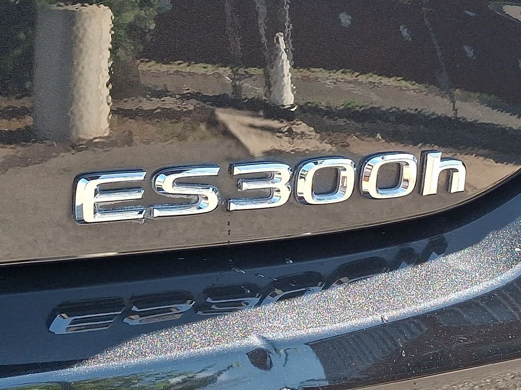 2025 Lexus ES 300h 300h PREMIUM PKG