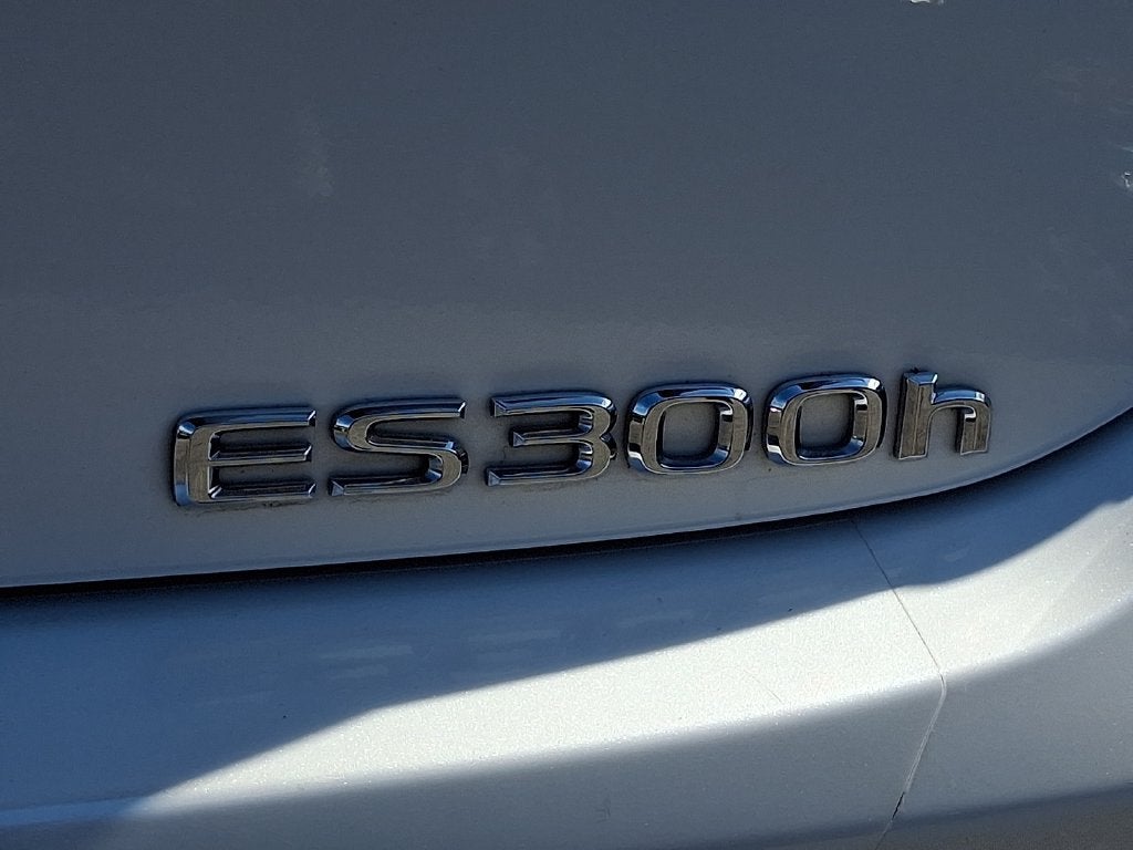 2024 Lexus ES 300h 300h Premium Pkg, Tech Pkg, Wood Trim