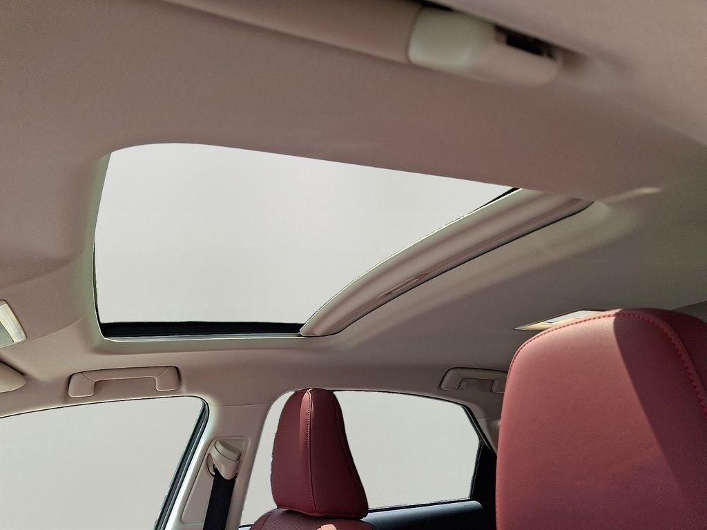 2020 Lexus NX 300 Base 300 Base