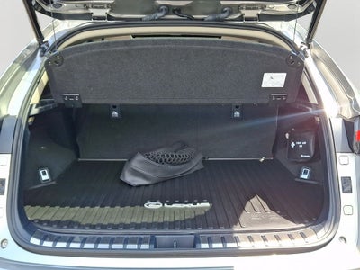 2020 Lexus NX 300 Base 300 Base