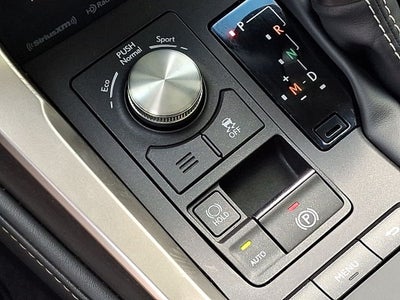 2019 Lexus NX 300 300