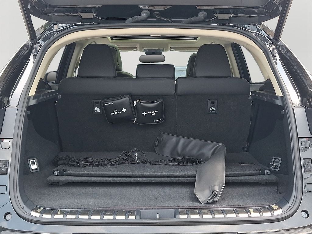 2019 Lexus NX 300 300