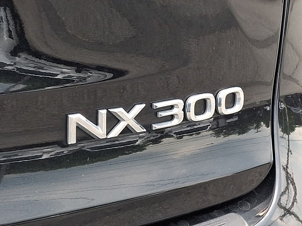 2019 Lexus NX 300 300