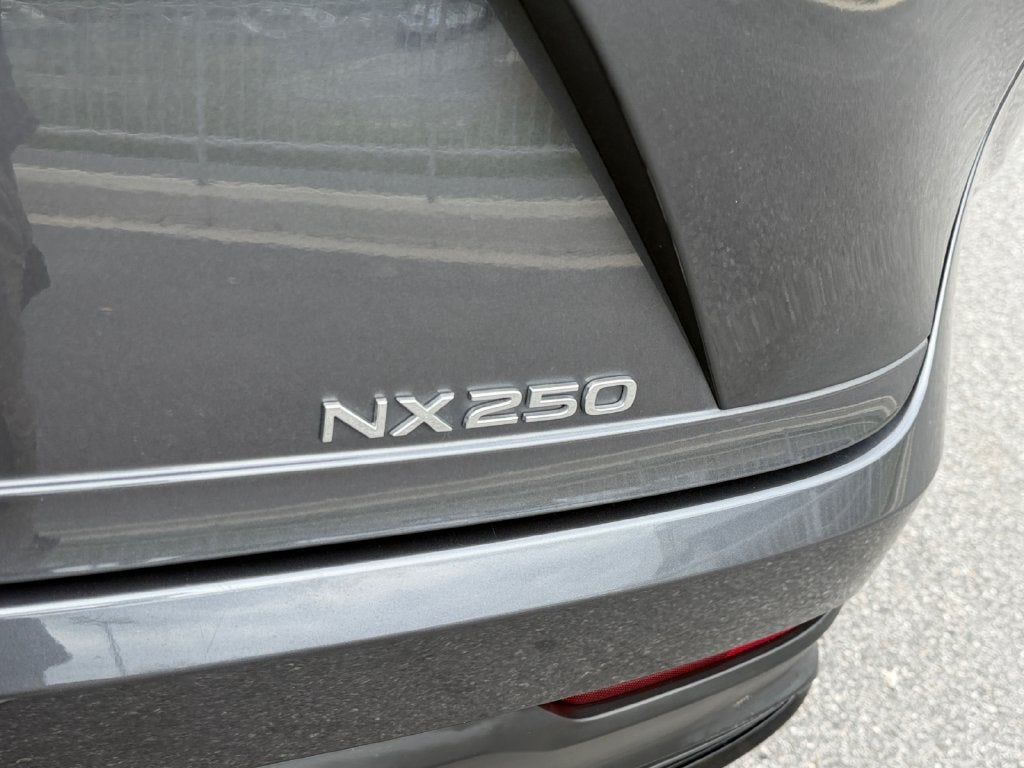 2024 Lexus NX 250 Base 250 Base