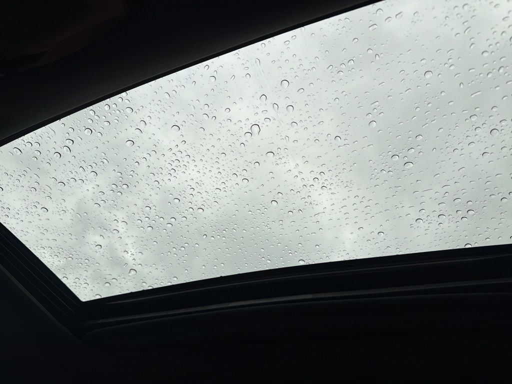 2024 Lexus RX 350 Premium Plus PREMIUM PLUS