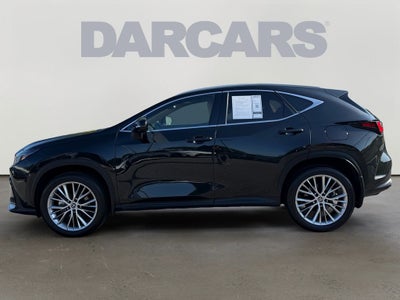 2025 Lexus NX 350 Premium PREMIUM