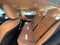 2025 Lexus ES 300h 300h