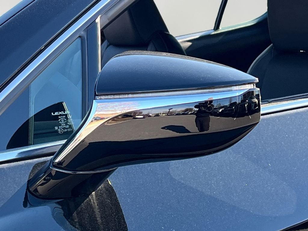 2025 Lexus UX 300h F SPORT Design