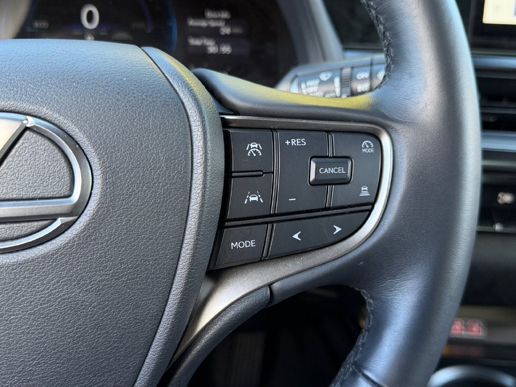 2025 Lexus UX 300h Premium PREMIUM AWD