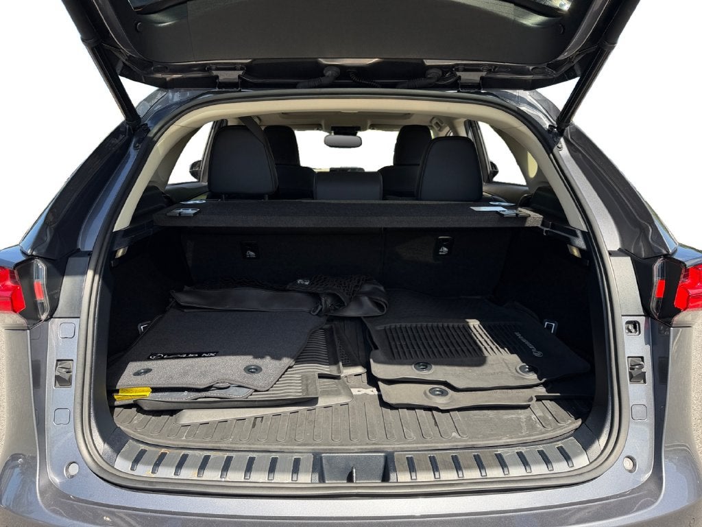 2021 Lexus NX 300 Base 300 Base