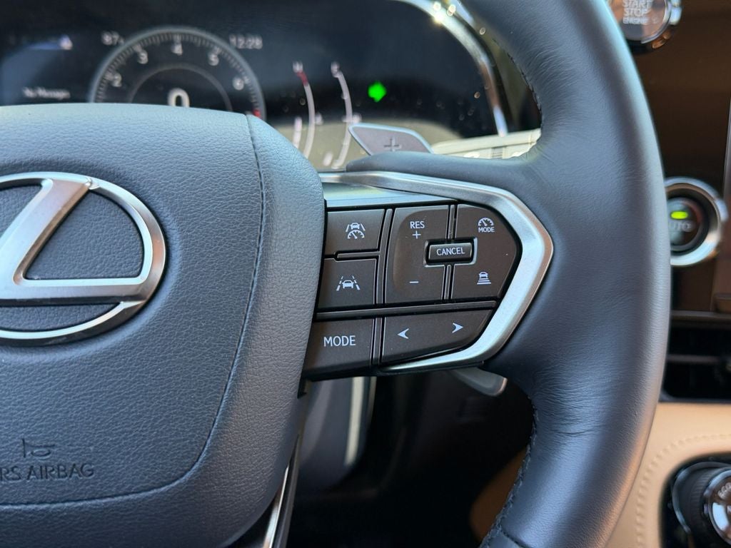 2024 Lexus NX 250 Premium 250 Premium