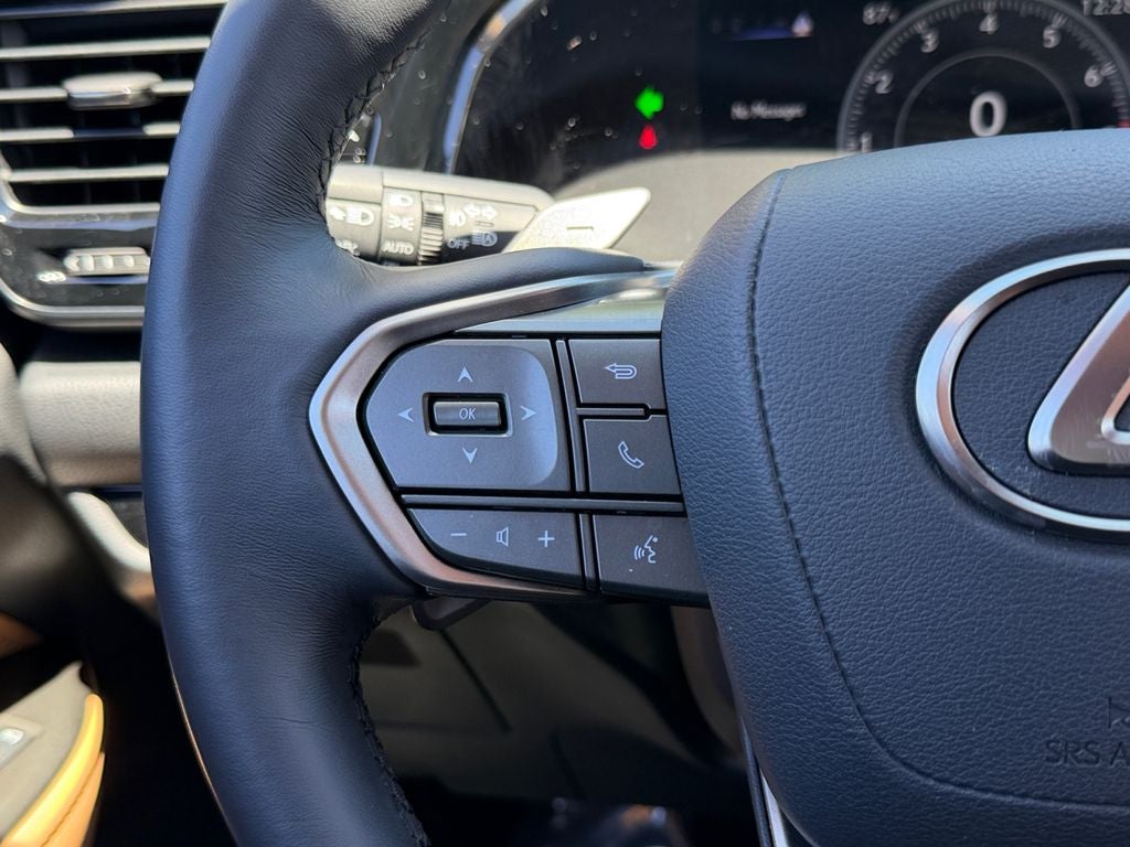 2024 Lexus NX 250 Premium 250 Premium