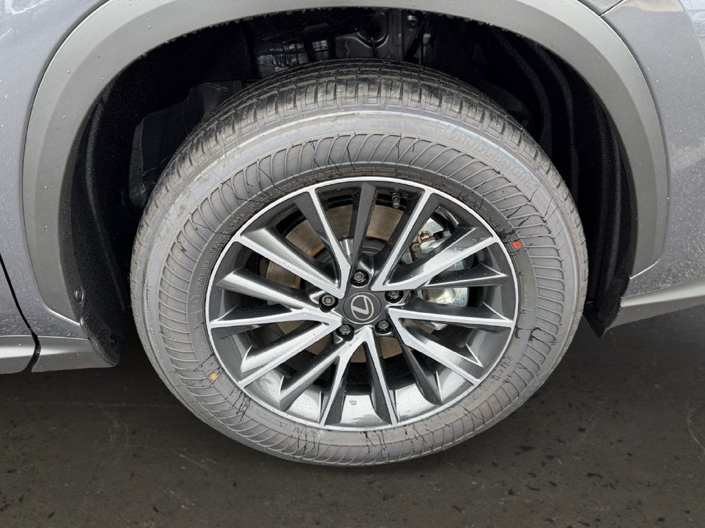 2026 Lexus NX PREMIUM PLUS AWD